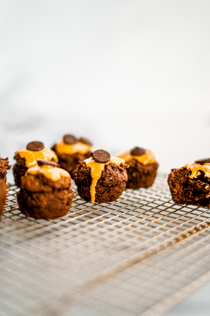 Peanut Butter Brownie Bites