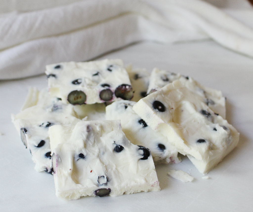 Frozen Yogurt Blueberry Bark