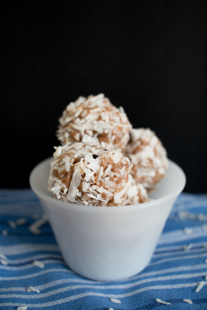 Blueberry Coconut Fat Bombs