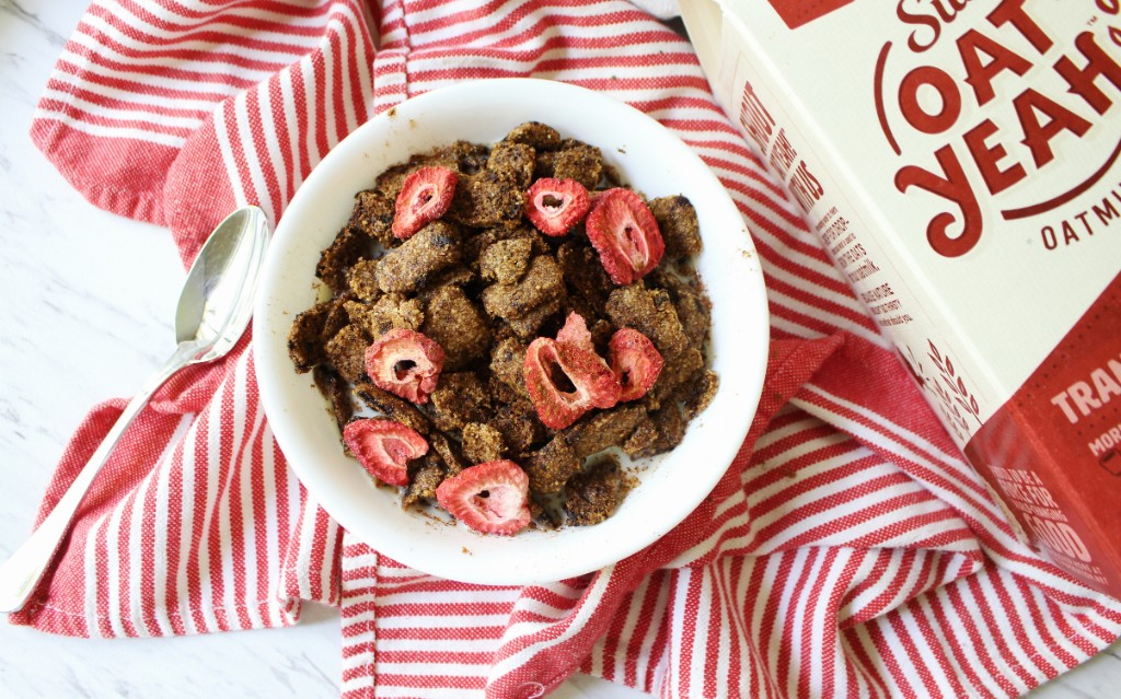 Vegan Dried Strawberry Cereal