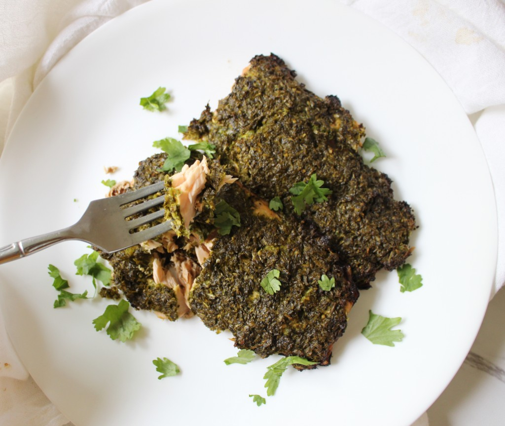 Chimichurri Salmon