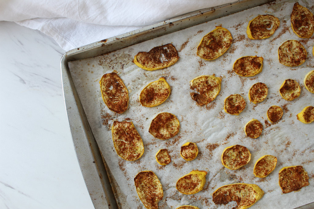 Tex-Mex Yellow Squash Chips